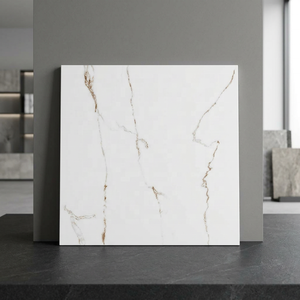 Carreaux de sol extérieurs en porcelaine grise mate Dyna Griss 60x60cm pour piscine et salle de bain, pleine masse 600x600mm, adhésifs, export en vrac - Product Image 5