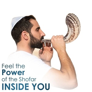 Alta calidad Kosher Sheep Ram Horn Shofar estilo religioso náutico mejor sonido precio competitivo India artesanías naturales - Product Image 2