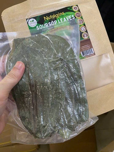 Natural Soursop <b>Tea</b> Bulk Wholesale Factory Direct from Vietnam with OEM Service - Product Image 1