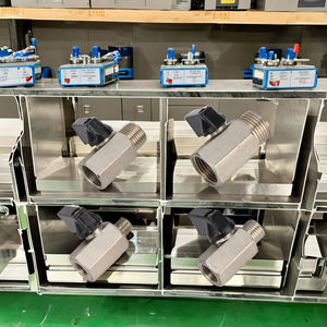 Mini Válvula de Bola de Latón de Alta Temperatura, Rosca BSP Macho a Hembra, Accionamiento Manual para la Industria del Agua - Product Image 2