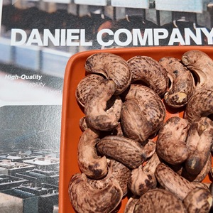 ผู้ผลิตเม็ดมะม่วงหิมพานต์ออร์แกนิกคุณภาพสูง คั่วและปรุงรส เกรด WW240 จากแอฟริกา ราคาแข่งขัน รับผลิตแบบ OEM ODM มีจำหน่ายในเวียดนาม ได้รับการรับรองจาก USDA - Product Image 2