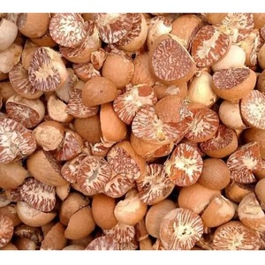 Nuez de Betel Cruda Seca Natural Pura de Primera Calidad, Paquete a Granel de 30 kg para Uso Alimentario a Bajo Precio - Product Image 1