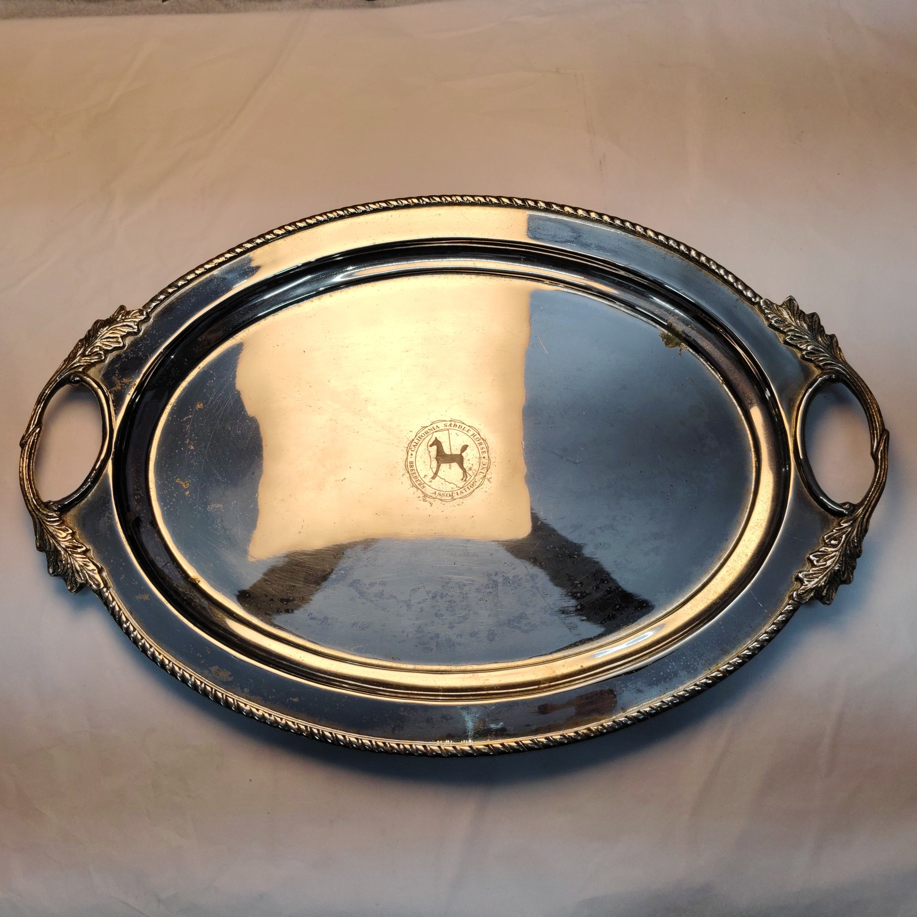 แสดงภาพ