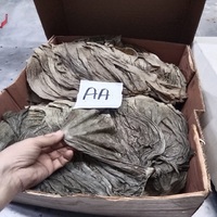 Omasum Sapi Asin Kering/Omasum Sapi Asin & Kering Beku & Segar/Omasum Daging Sapi, Omasum Berkualitas Tinggi