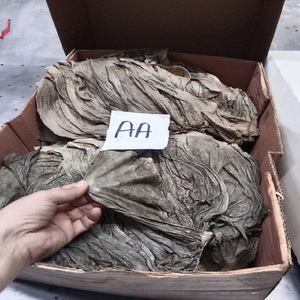 Omasum de bœuf salé et séché / Omasum de bœuf salé et séché, congelé et frais / Omasum de viande de bœuf, Omasum de haute qualité - Product Image 1