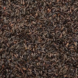 Niger <b>Seed</b> Natural Oil Rich Grain With High Purity Clean Texture And Carefully Selected Export Ready Quality - Product Image 3