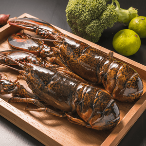 Compre Productos de Exportación de Austria: Langosta Canadiense a Precios de Mayoreo, Camarones, Mariscos, Langostas Rosadas Congeladas Crudas Verdes a Precios con Descuento - Product Image 6