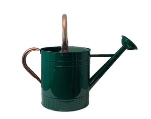 Vase Arrosoir Rustique en Métal avec Poignée pour Décoration Florale de Jardin, Patio, Porche, Mariage et Ferme - Product Image 1