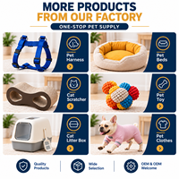 Collier de suivi Bluetooth anti-perte pour animaux de compagnie, pour chats et chiens, matériau ABS, positionnement Bluetooth compatible Android/iOS