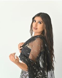 Traje Étnico Indio para Bodas y Eventos Festivos, Lehenga Choli con Lentejuelas y Bordado Zari, Atuendo Elegante y Moderno para Mujer - Product Image 4