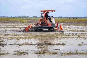 Tracteur agricole diesel HOGICO 80VN 80HP, nouveau modèle, 2 roues motrices, chenilles, levage hydraulique, boîte de vitesses puissante, moteur principal - Product Image 5