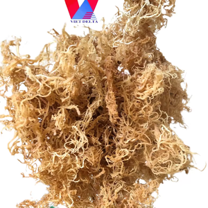 Alga Marina Seca Eucheumaea Cottonii Laver, Sazonada, a Granel, AD Ms. Lily VDL - Product Image 1