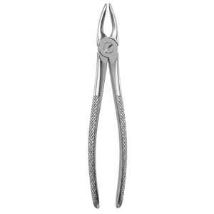 คีมถอนฟัน รุ่น Fig. 29 ชิ้นส่วนฟันบนและฟันกรามสแตนเลสสตีลแบบอังกฤษ - Product Image 4