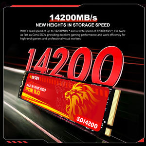 Kissin <span class=keywords><strong>M</strong></span>.<span class=keywords><strong>2</strong></span> Pcie 5.0 Nvme Ssd 1Tb 2Tb Interne Solid State Disk Harde Schijf Voor Laptop Desktop - Product Image 4