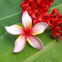 Produit de qualité supérieure de Plumeria Frangipani Foam Flower avec motif d'impression de tatouage unique (Pack 100 pièces)