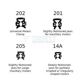 Kit de Pinzas para Dique de Goma de Alta Calidad, Fabricado en Pakistán, Acero Inoxidable, Más Vendido - Product Image 5