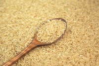 Riz brun étuvé à grains courts IR 64 de qualité supérieure, texture douce, 5% de brisure, type Basmati, frais, sans OGM, sac PP 25/50kg, 24