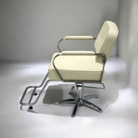 [ECCLIM] DANIEL (2) EC-003 espace de salon idéal de vos rêves (chaises de salon et unités de lavage à contre-courant) produit chaud de haute qualité