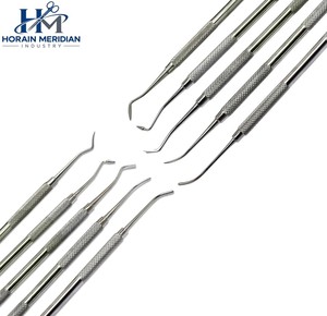 Instrumentos de Relleno Compuesto Premium para Dentistas, Herramientas de Restauración Dental de Acero Inoxidable para Uso Clínico Profesional - Product Image 2