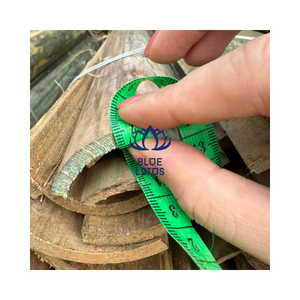 PALO DE BAMBÚ DE ALTA CALIDAD EN FORMA DE MEDIO TUBO SELECCIONADO EN VIETNAM - Product Image 5