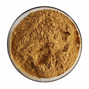 Extrait de Guarana Pur 10:1 en Poudre Préparé à Partir de Poudre de Guarana Séchée Naturellement pour l'Énergie Quotidienne, la Concentration et la Vitalité Physique - Product Image 4
