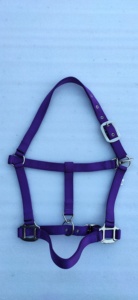 สายจูงม้าแบบคลาสสิกน้ำหนักเบา ทำจากโพลีโพรพิลีน บุด้วยผ้าหนังนูบัค ปรับแต่งได้ พร้อมฮาร์ดแวร์ทองเหลืองและสังกะสี มีหลายขนาด - Product Image 4