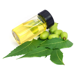 100% Pure Neem Oil Ayurvedic Application HACCP HALAL Certified Steam Distilled Pain Relief All Skin Types Top Grade <b>Bulk</b> - Product Image 1