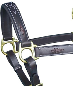 Equipo Ecuestre de Cuero Genuino de Primera Calidad, Halter Trenzado con Logotipo Personalizado, Ajustable, Anatómico y Elegante para Montar a Caballo - Product Image 6