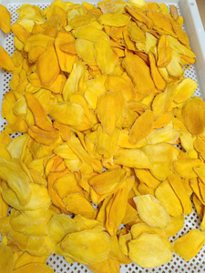 Rodajas de Mango Seco Suave de Vietnam, Fruta Seca Dulce y Masticable para Venta al por Mayor - Product Image 3