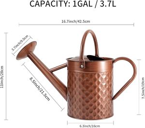 Arrosoir de style antique le plus vendu pour l'arrosage des plantes de jardin et la décoration intérieure, avec une poignée en métal robuste - Product Image 6