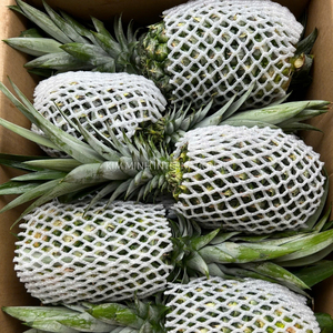 Piña Fresca de Vietnam MD2 Cayenne, Calidad Premium, Venta al por Mayor, Suministro a Granel, Exportador, Proveedor Directo - Product Image 3