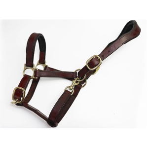 Leather Halter for Horse handmade with Soft Padding 100% pure leather halter with durable metal perfect for <b>equestrian</b> adventure - Product Image 6