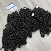 Extensions de cheveux humains vierges vietnamiens de qualité supérieure, bouclés Pixie, alignés sur la cuticule, double épaisseur, doux, cheveux bouclés naturels