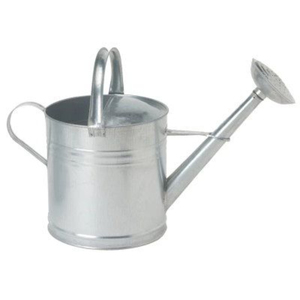Wholesale Modern Galvanized Steel Watering Can Metal Watering Pot For Indoor Outdoor Garden Plants Garden Equipment & Supplies - Product Image 1