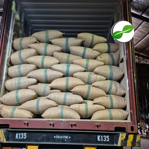 Noix de muscade entière premium d'Indonésie, provenant de l'île de Sulawesi – Arôme intense et saveur riche pour la cuisine, la pâtisserie et le bien-être – Exportation en vrac - Product Image 2