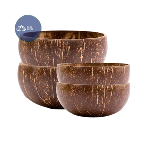 [MEILLEURES VENTES] |   Bol en coquille de noix de coco écologique, finition lisse, vente en gros, articles de vaisselle de cuisine réutilisables faits à la main au Vietnam - Product Image 1