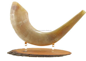 Venta al por mayor de alta calidad pulido Ram Horn Shofar decoración del hogar natural genuina para la venta por CRAFTSY HOME - Product Image 3