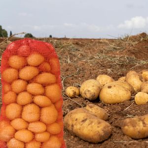 ถุงตาข่ายใส่หัวหอมถุงเก็บผักแบบใช้ซ้ำได้สำหรับกุ้งน้ำจืดทำจากมันฝรั่งหอมใหญ่ - Product Image 3