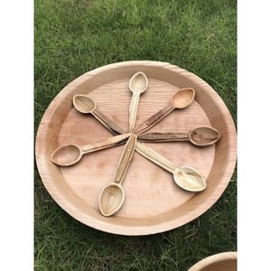 Platos de Palma de Areca Naturales al por Mayor, Biodegradables, Aptos para Microondas, para Barbacoa, Camping, Catering y Uso Doméstico - Product Image 5
