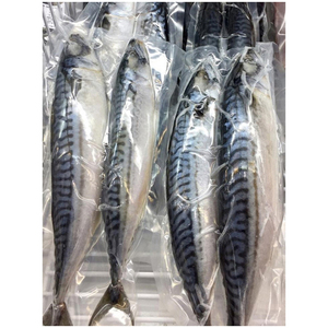 Buen Precio, Pescado Macarela Congelado Fresco - Product Image 4