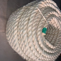 %100 Doğal Sisal Sicimi Dayanıklı Ağır Hizmet İpi Yüksek Mukavemetli ve Aşınmaya Dayanıklı Açık Hava Denizcilik Paketleme İçin