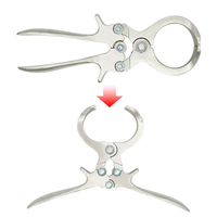 Pince de castration Burdizzo en acier inoxydable, forceps manuel certifié CE, instrument chirurgical de classe I pour la chirurgie équine