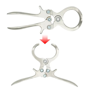 Pince de castration Burdizzo en acier inoxydable, forceps manuel certifié CE, instrument chirurgical de classe I pour la chirurgie équine - Product Image 6