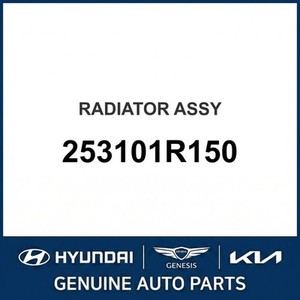 Nouveaux radiateurs Accent 253101R150 - Product Image 1