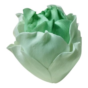 VADEE SOLA WOOD FLOWER SET ROSE Diffuseur Modèle SET02 Ocean Lotus 6.5CM Couleur Vert Menthe Bâtonnets en Fibre de Plante de Sésbanie Aromathérapie - Product Image 5