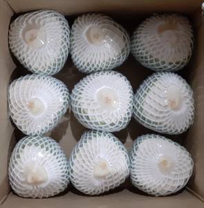 Noix de coco jeune et fraîche du Vietnam pour les buffets et stations de boissons des restaurants de croisière, offrant une qualité constante et un arôme tropical. - Product Image 4