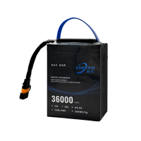 Batería de Iones de Litio Recargable XINGTO Inteligente de Estado Semisólido 12S 36000mah 44.4V 10C de Alta Densidad Energética con BMS para Drones UAV