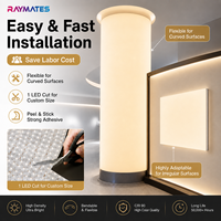 Panneau LED flexible et pliable haute efficacité CCT personnalisable DC24V 528 LED/m pour décoration de plafond, diffuseur et boîte à lumière