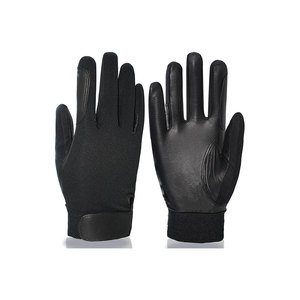 Custom Riding Gloves for <b>Equestrian</b> Sports - Product Image 1