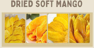 Organic Soft Dried Sliced Mango Snack with Low Sugar Moist Texture Bulk Packaging and Water Preservation for Export - Product Image 2
